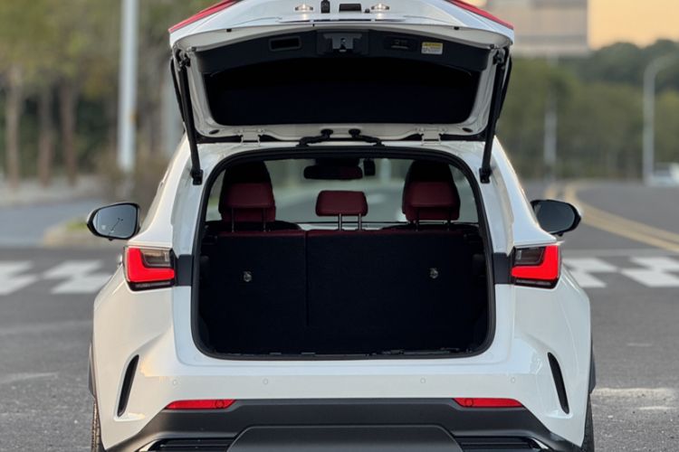 Used Lexus NX 2022 260 Front-Wheel Drive Chuan Yue Edition