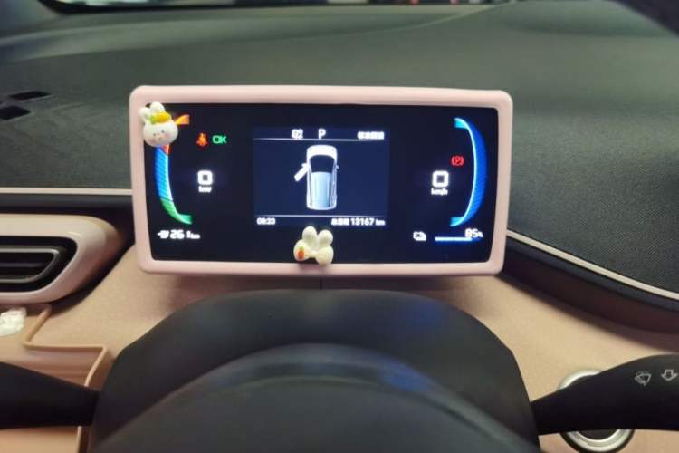 Used BYD Seagull 2024 Honor Edition 305km Freedom Version Odometer Close Up