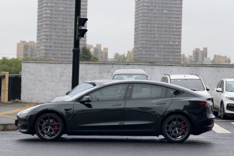 Used Tesla Model 3 2022 Performance High-Performance All-Wheel-Drive Version Exterior 6