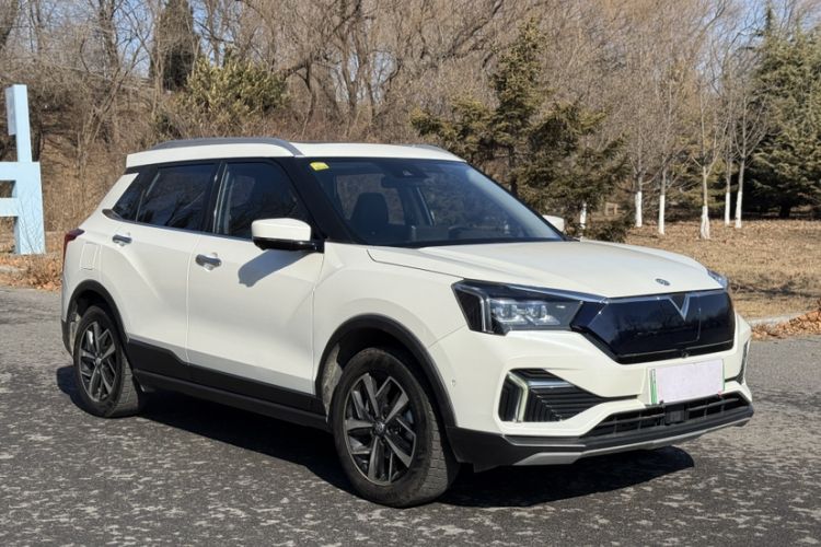 Used Venucia T60EV 2020 AI Flagship Model
