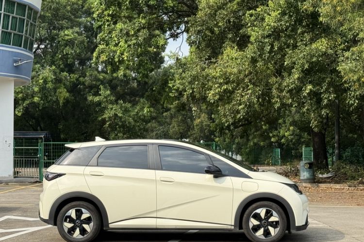 Used BYD Dolphin 2024 Honor Edition 420km Fashion Version
