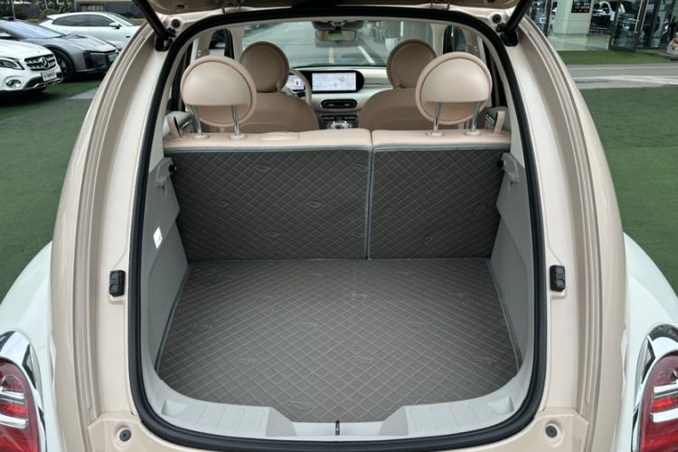 Used ORA Ballet Cat 2022 401 km Nutcracker Edition
