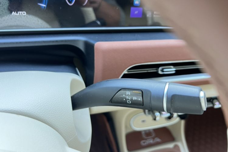 Used ORA Good Cat 2023 401 km Standard Range Luxury Version Lithium Iron Phosphate
