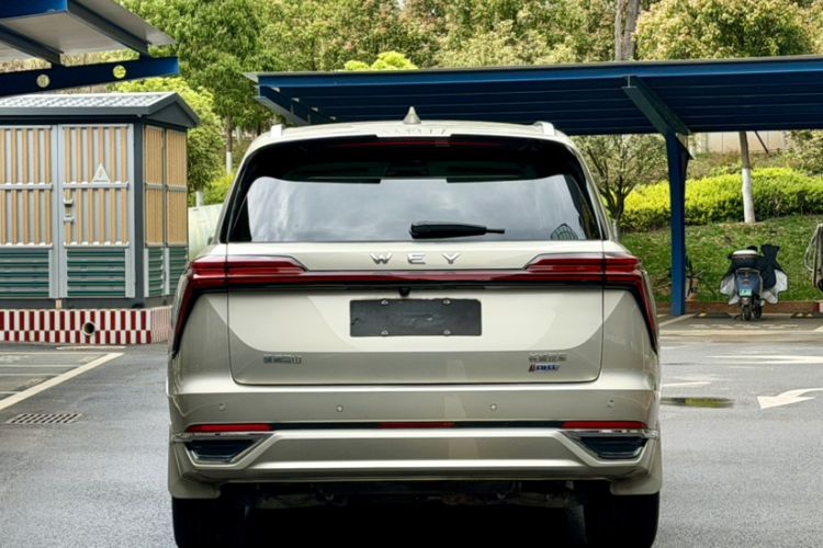 Used Wey Lanshan 2023 Four-Wheel Drive Ultra-Long Range Version
