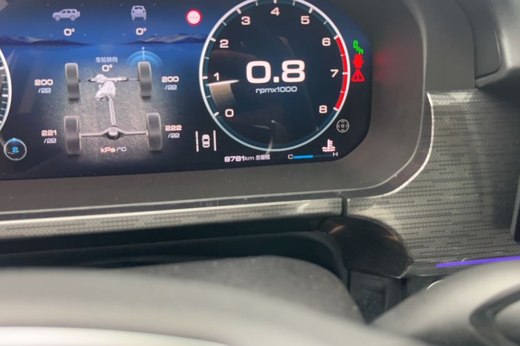 Used Tank 400 2025 2.0T Gasoline Version
