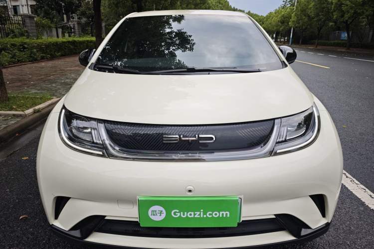 Used BYD Dolphin 2023 420 km Free Version