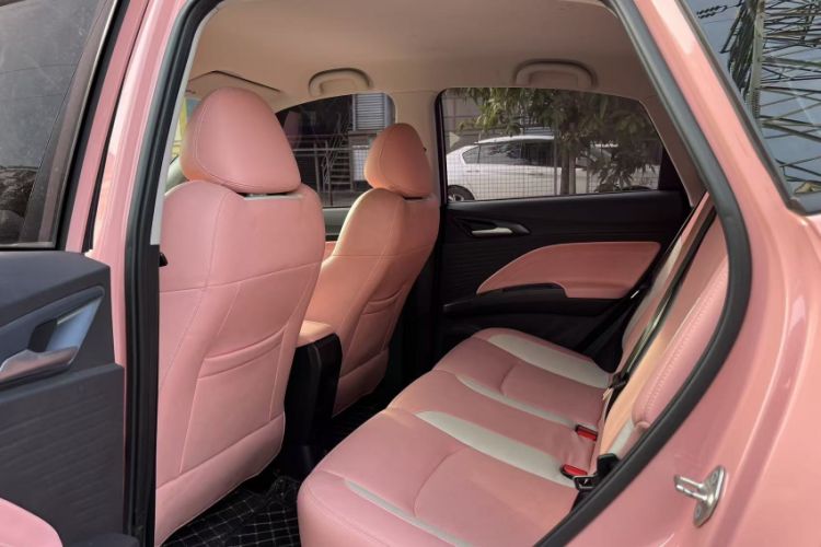 Used NETA V 2021 Witch Edition
