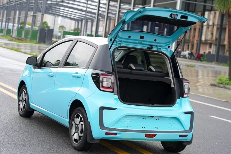 Used SOL E10X 2022 Flower Fairy Style Baby's Breath