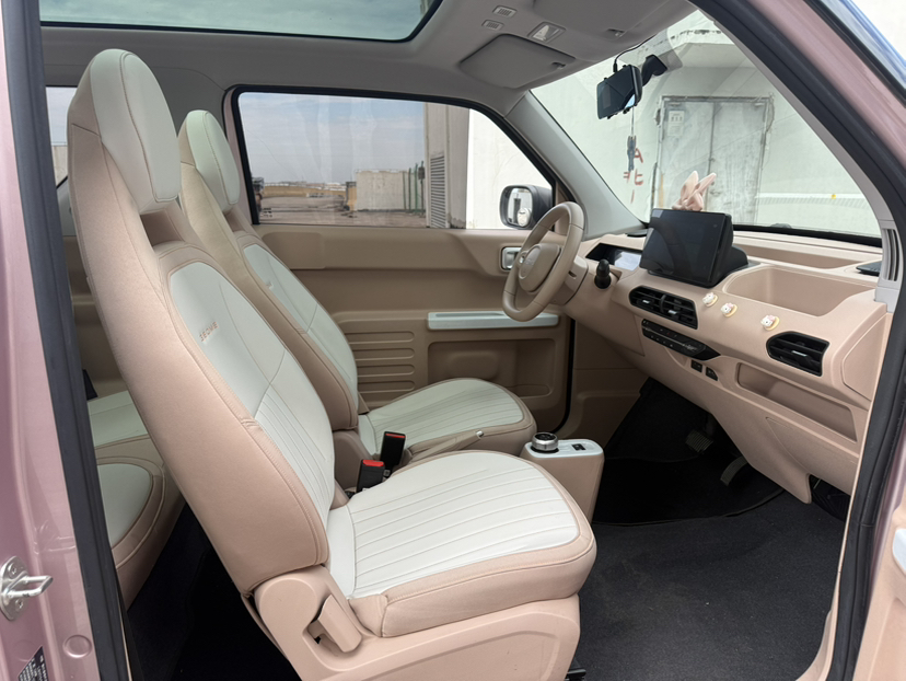 Geely Galaxy Panda 2023 Panda Mini 200km Dynamic Bear — снимка 20