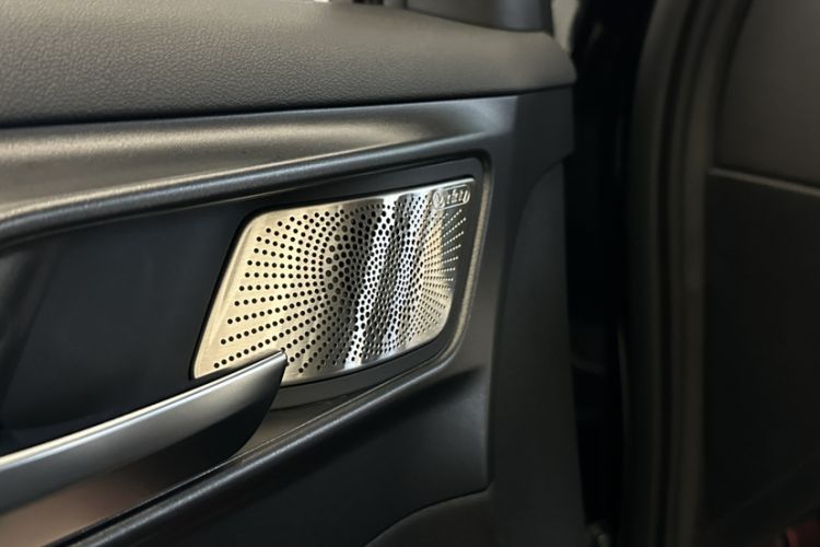 Used Tank 300 2024 2.0T Crosser Interior 7