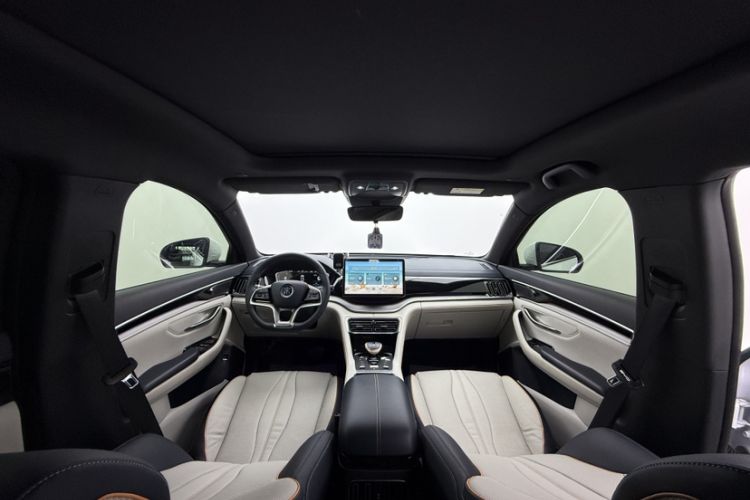 Used BYD Song PLUS New Energy 2021 DM-i 51KM Prestige Model
