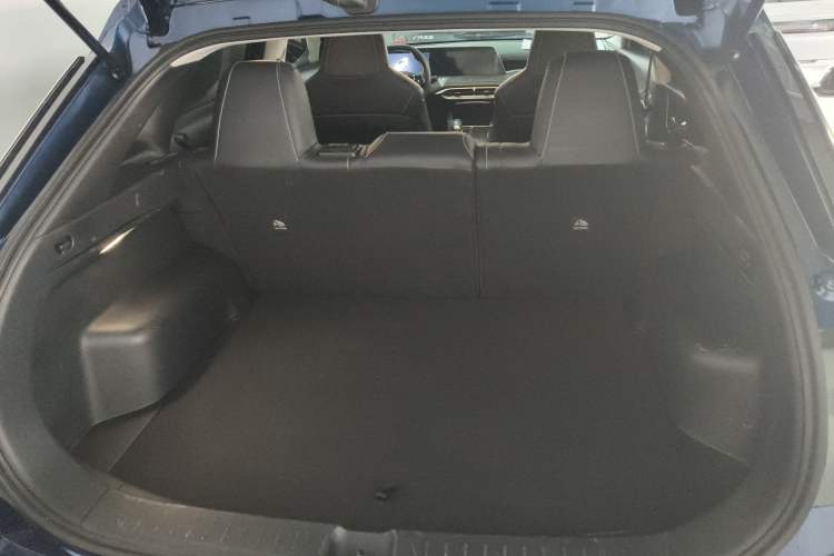 Used Venucia V 2021 260T Idol Edition