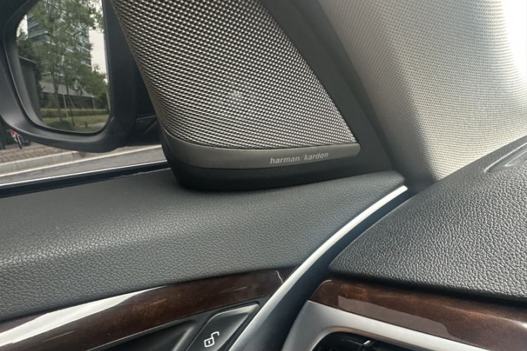 Used BMW 5 Series 2018 528Li Launch Special Edition Exterior 7