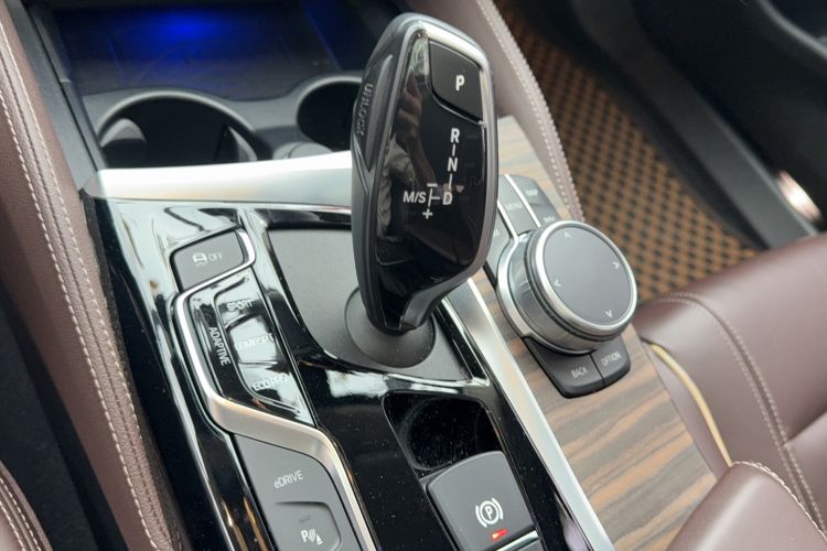 Used BMW 5 Series New Energy 2020 530Le Luxury Package
