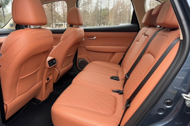 Used Landian E5 PLUS 2026 Model 165km Long-Range First-Adoption Version Ultra 5-seater
