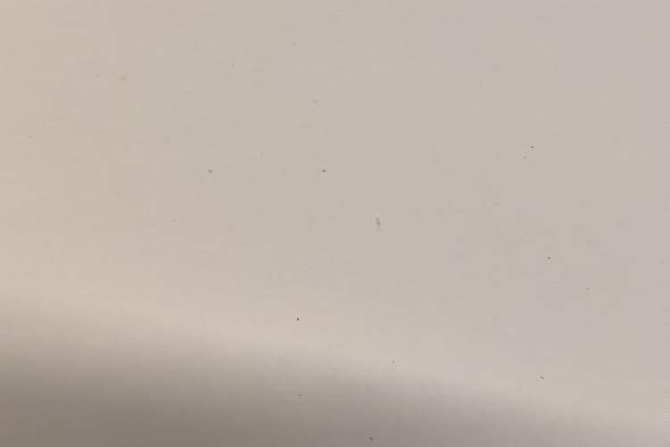 Used Porsche Taycan 2022 Taycan 4S Exterior 5