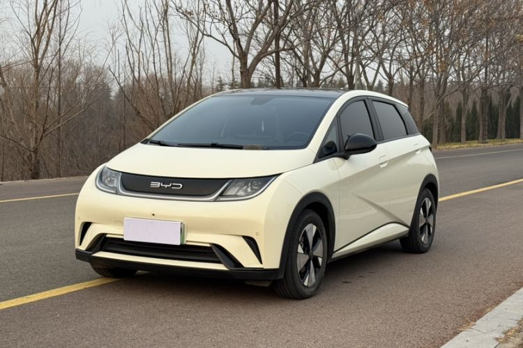 Used BYD Dolphin 2023 420 km Fashion Edition