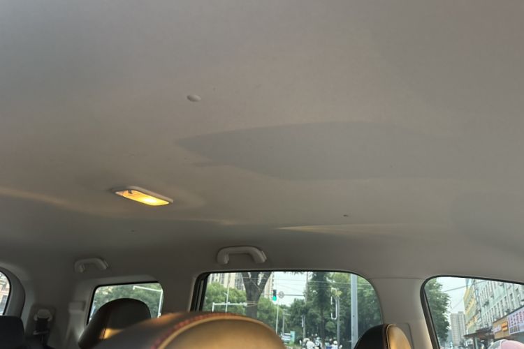 Used FORTHING SX6 2019 1.6L Manual Luxury Model China VI Standard