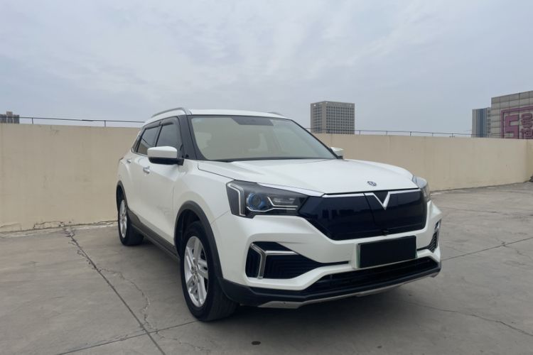 Used Venucia T60EV 2020 AI Enjoyment Model