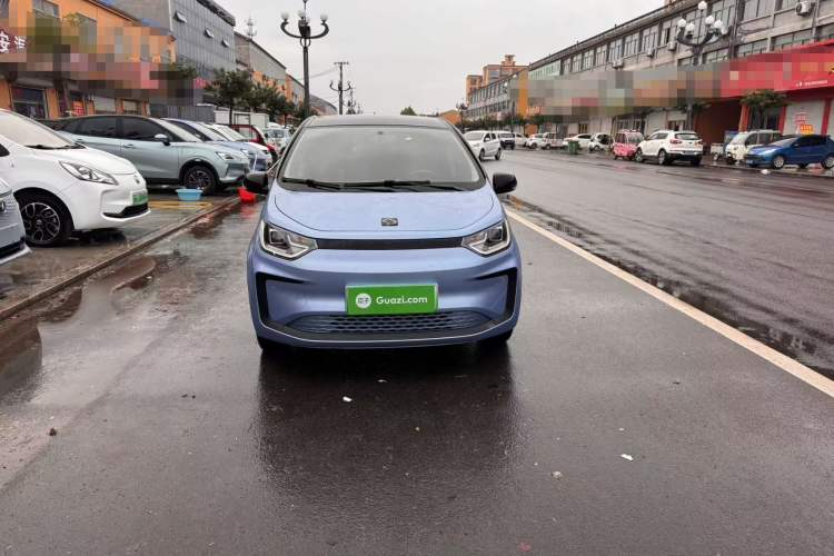 Used SOL E10X 2022 Flower Fairy Design Four-Leaf Clover