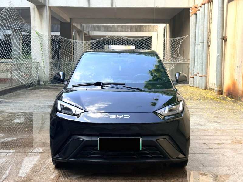 Used BYD Seagull 2024 Honor Edition 305km Freedom Version — 27