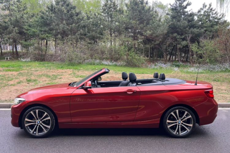 Used BMW 2 Series 2019 225i Convertible Coupe Sports Design Package