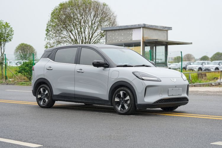 Used Wuling Bingo PLUS 2024 510 km Flagship Edition Four-Seater Version