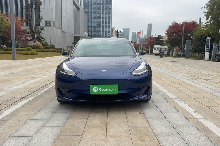 Used Tesla Model 3 2019 Standard Range Rear-Drive Upgraded Version