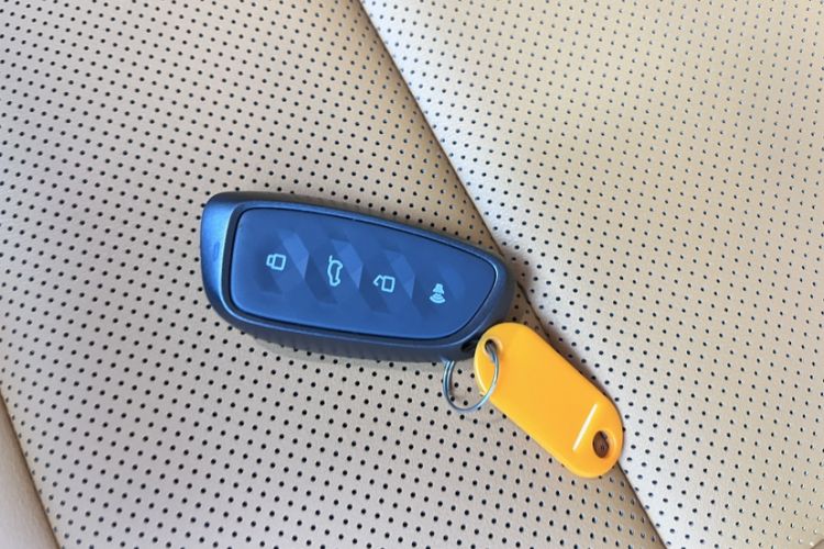 Used Haval H Dog New Energy 2024 Hi4 102km Trend Electric Version Plus
