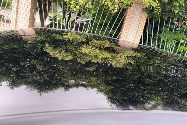 Used BYD Yuan PLUS 2025 Intelligent Driving Version 510 km Leading Edition Roof