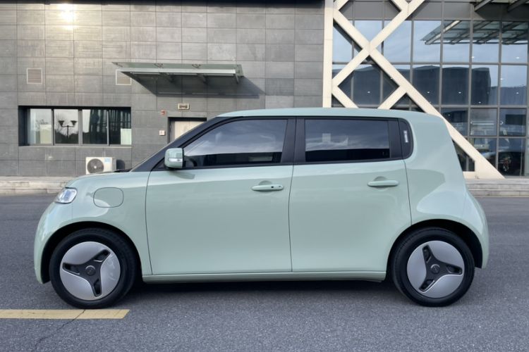 Used ORA White Cat 2020 360 km Luxury Version Exterior 4