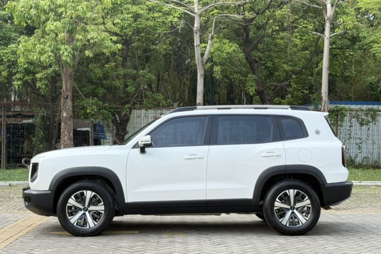 Used Haval DARGO 2021 1.5T DCT Two-Wheel Drive Labrador Edition Exterior 6