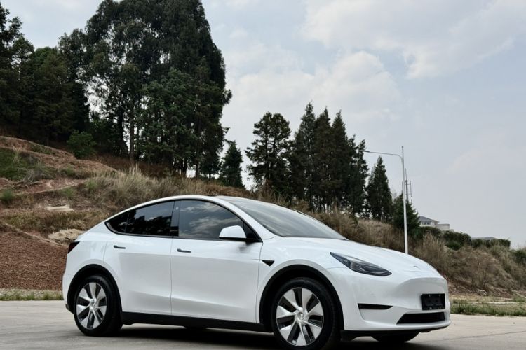 Used Tesla Model Y 2022 Long-Range All-Wheel-Drive Version Exterior 5