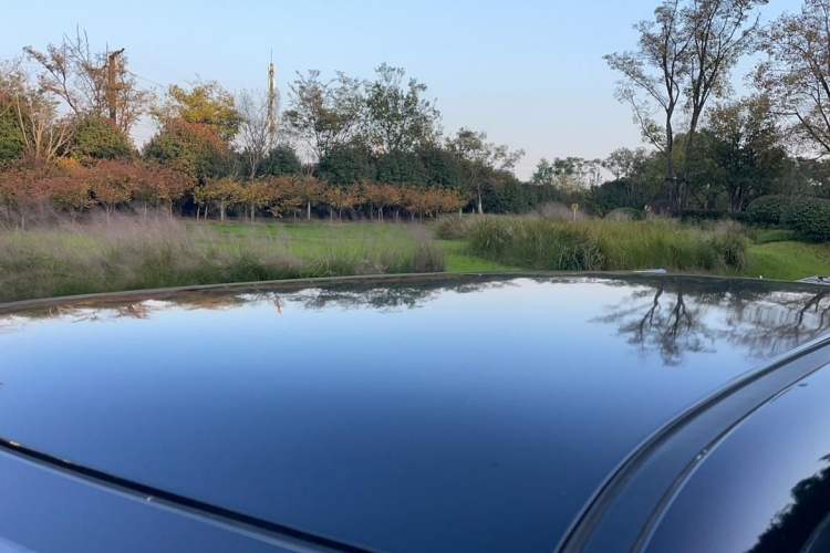 Used Qiyuan Lumin 2023 205km Xiangqin Version
