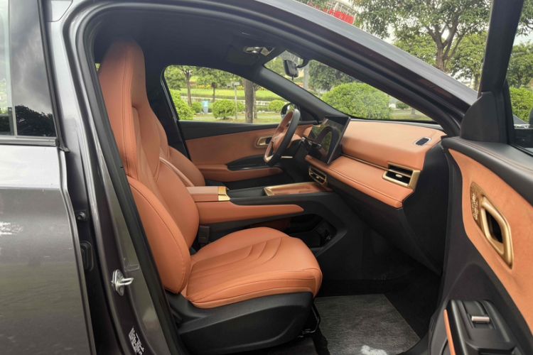 Used NETA X 2024 500 First Edition
