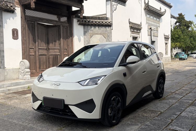 Used BYD Seagull 2025 Smart Drive Version 305 km Freedom Edition Guazi used car, China used car export, Used car for sale, Used cars, Cheapest cars for sale