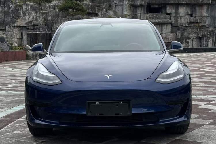 Used Tesla Model 3 2019 Standard Range Rear-Drive Upgraded Version