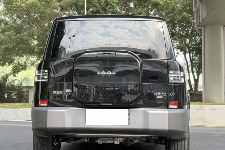 Used Formula Leopard Tai 7 2025 Model 190 km Four-Wheel Drive Ultra Edition