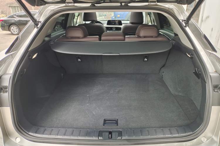 Used Lexus RX 2020 Facelifted 300 4x4 Elegant Edition