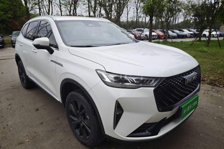 Used Haval H6 2021 3rd Generation 2.0T Automatic All-Wheel Drive Max Exterior 3