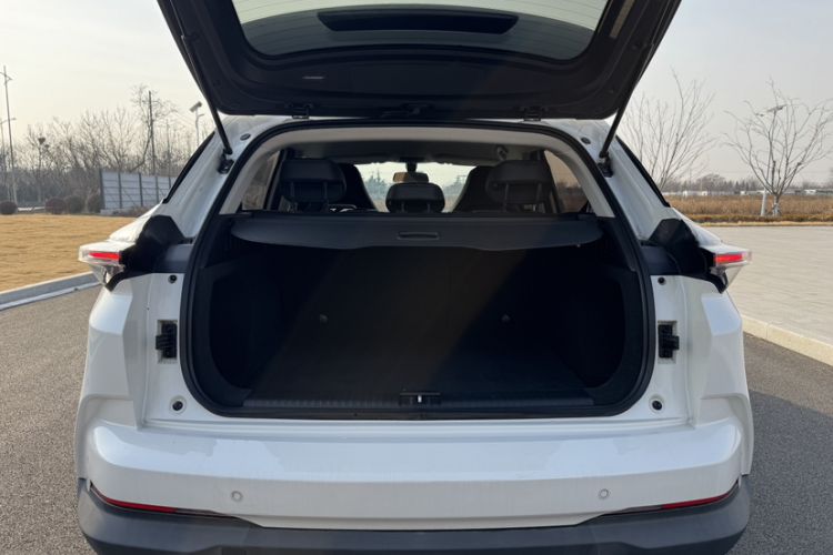 Used NETA U 2021 Pro 400 Cruiser Edition
