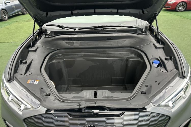 Used Ford Mustang Mach-E 2021 Wujiang Rear-Drive Version (Long Range)
