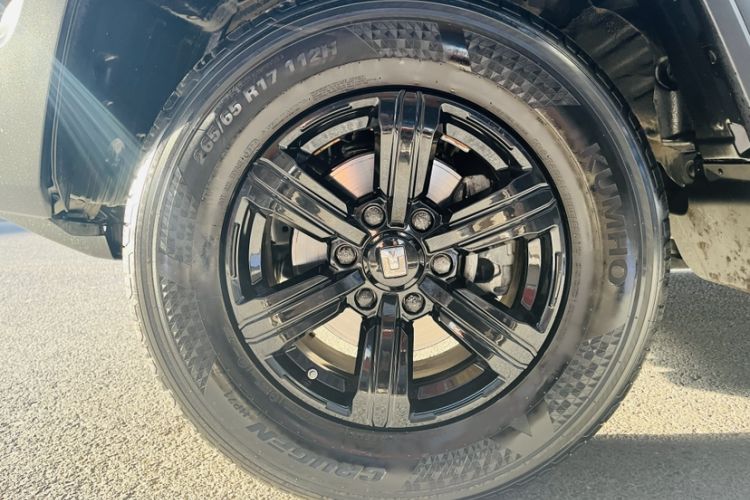 Used Tank 300 2024 2.0T Conqueror Exterior 7