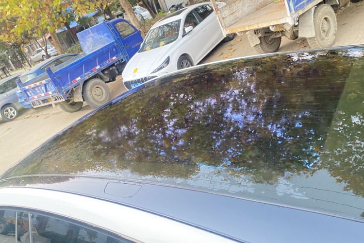 Used XPeng G6 2023 580 Long-Range Pro Roof