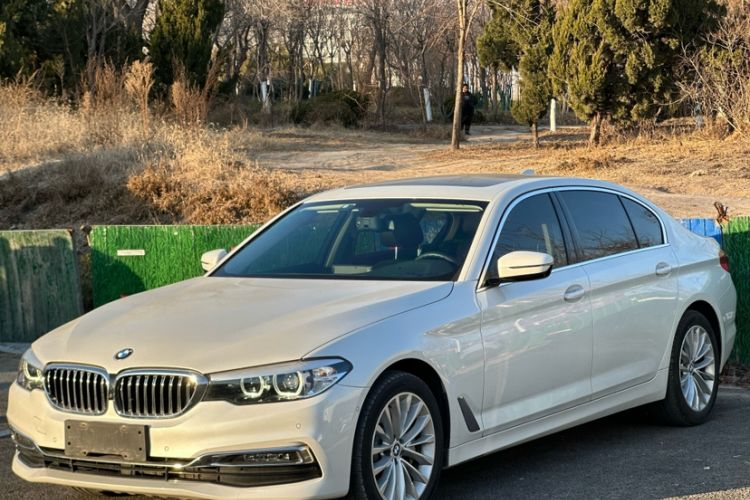 Used BMW 5 Series 2019 530Li Leading Model Luxury Package