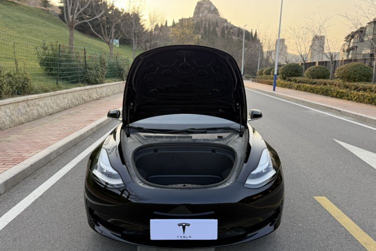 Used Tesla Model 3 2020 Standard Range Rear-Wheel Drive Upgraded Version