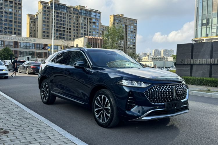 Used Wey Mocha 2021 2.0T Four-Wheel Drive Premium Edition