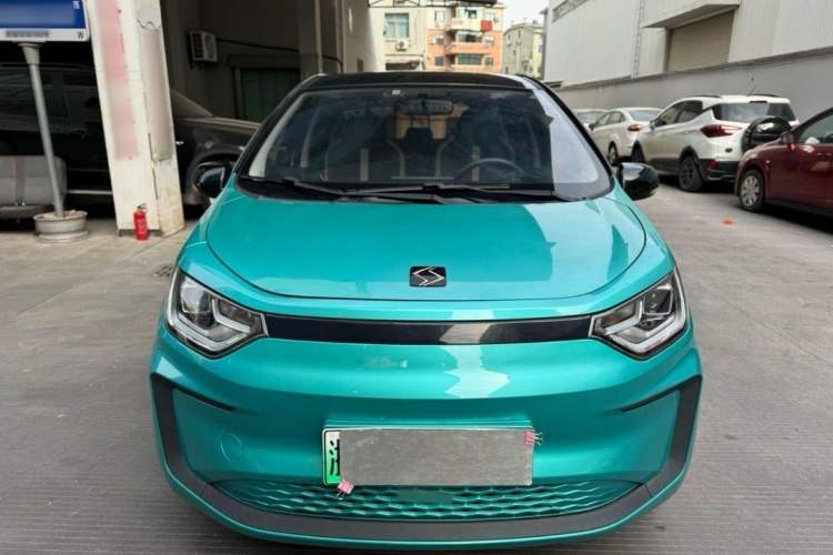 Used SOL E10X 2022 Flower Fairy Design Four-Leaf Clover