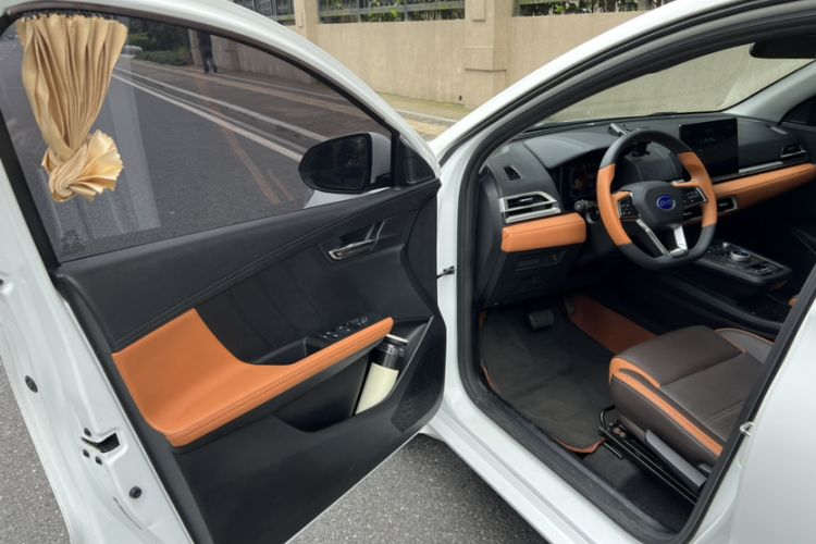 Used BYD e2 2020 Upgraded Version Long-Range Edition Luxury Model
