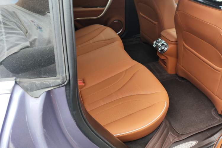 Used ORA Lightning Cat 2022 555 km Luxury Edition
